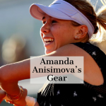 Anisimova Gear Guide