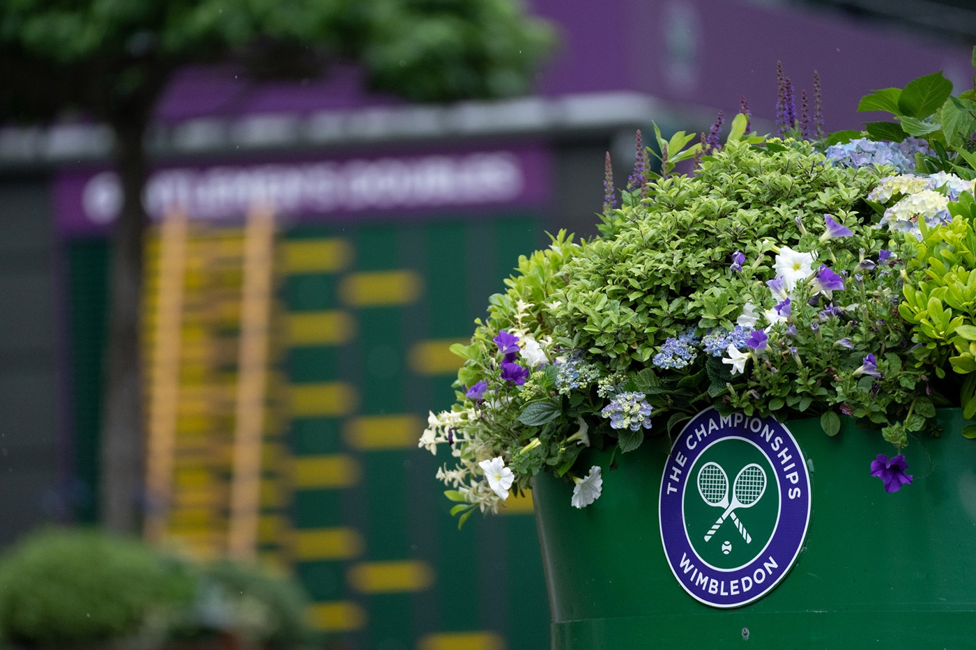 Wimbledon Players to Follow